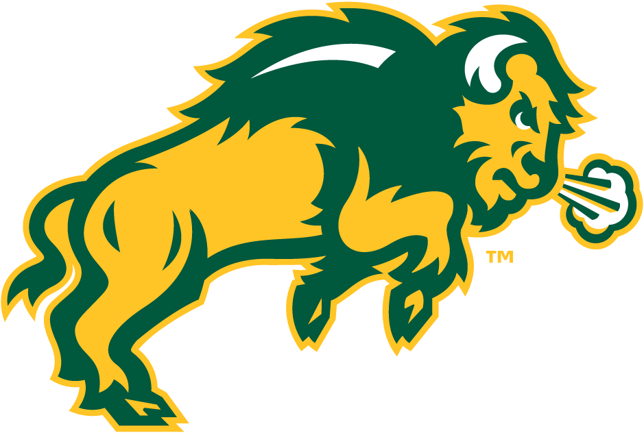 North Dakota State Bison 2012-Pres Secondary Logo iron on transfers for fabric